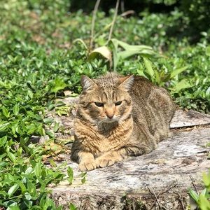 Meet your Posher, Molly